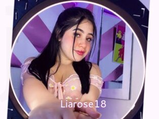 liarose18 Just Amateurs