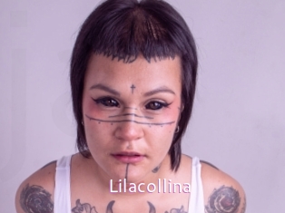 Lilacollina