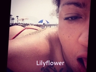 Lilyflower