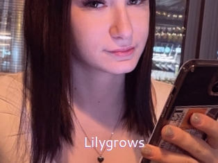Lilygrows