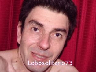 Lobosolitario73