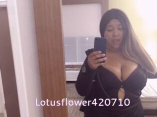 Lotusflower420710