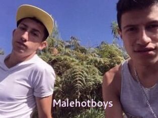 Malehotboys