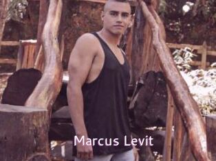 Marcus_Levit