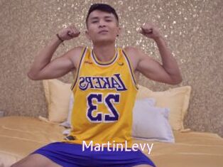 MartinLevy