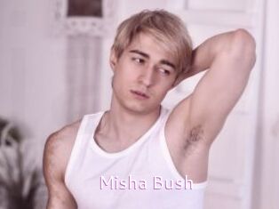 Misha_Bush