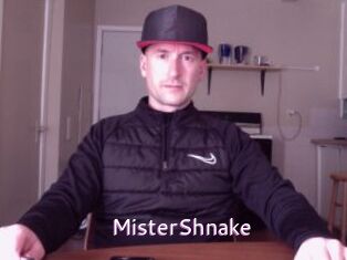 MisterShnake