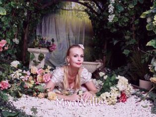 MiyaWalles
