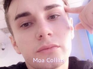 Moa_Collins
