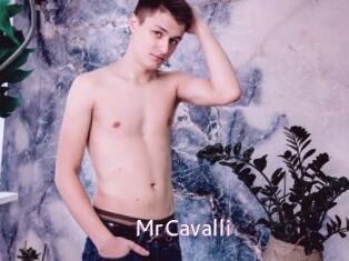 MrCavalli