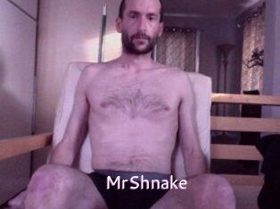 MrShnake