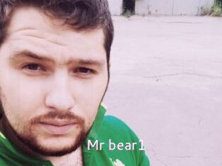 Mr_bear1