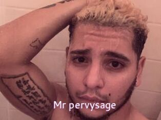 Mr_pervysage