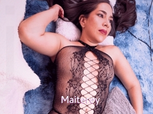 maiterey Just Amateurs