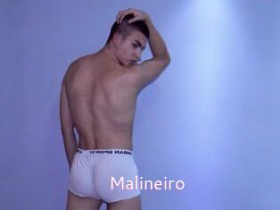 Malineiro