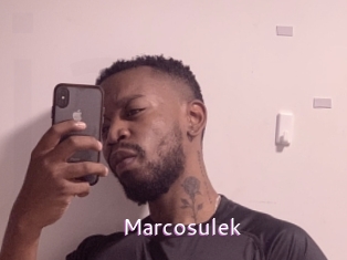 marcosulek Just Amateurs