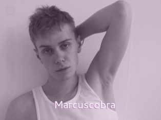 marcuscobra Just Amateurs
