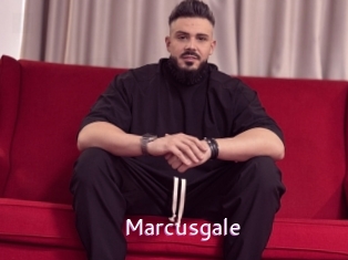 marcusgale Just Amateurs