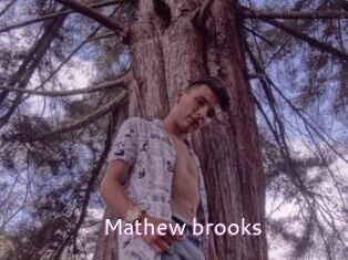 Mathew_brooks