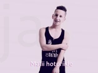Matii_hotpriide