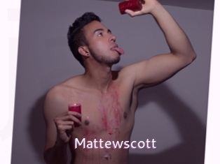 mattewscott Just Amateurs