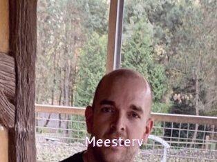 Meesterv