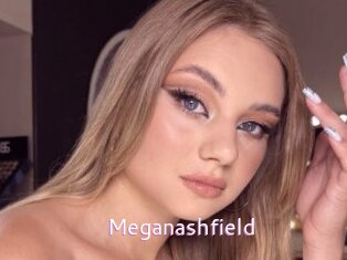 Meganashfield
