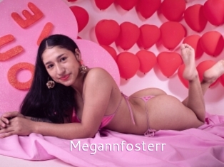 Megannfosterr