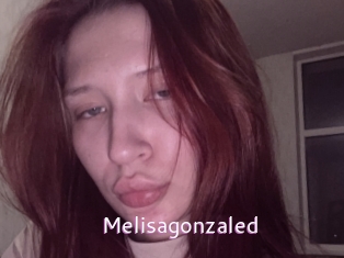 Melisagonzaled