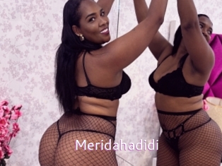 meridahadidi Just Amateurs
