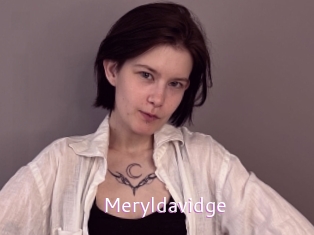 Meryldavidge