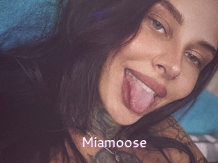 Miamoose