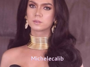 Michelecalib