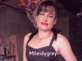 Mileidygrey