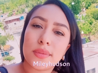 Mileyhudson