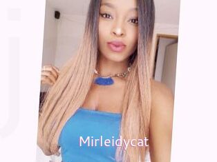 Mirleidycat