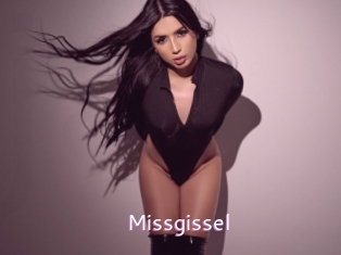Missgissel