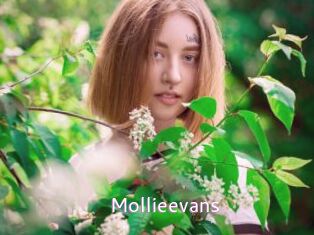 Mollieevans