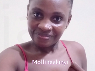Mollineakinyi