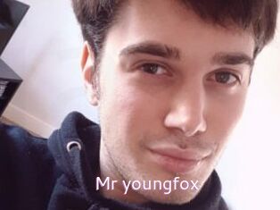 Mr_youngfox