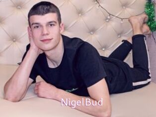 NigelBud