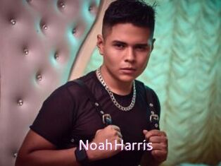 NoahHarris