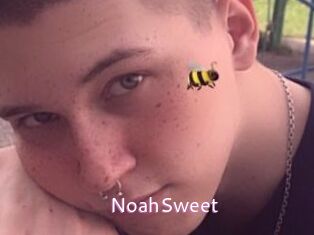 NoahSweet