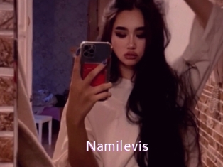 Namilevis