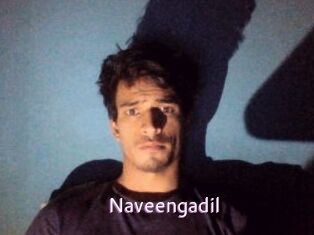 Naveengadil