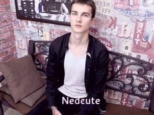 Nedcute