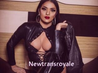 Newtransroyale