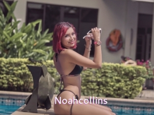 noahcollins Just Amateurs