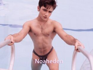 noaheden Just Amateurs