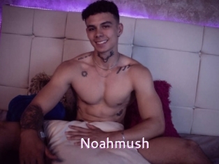 noahmush Just Amateurs